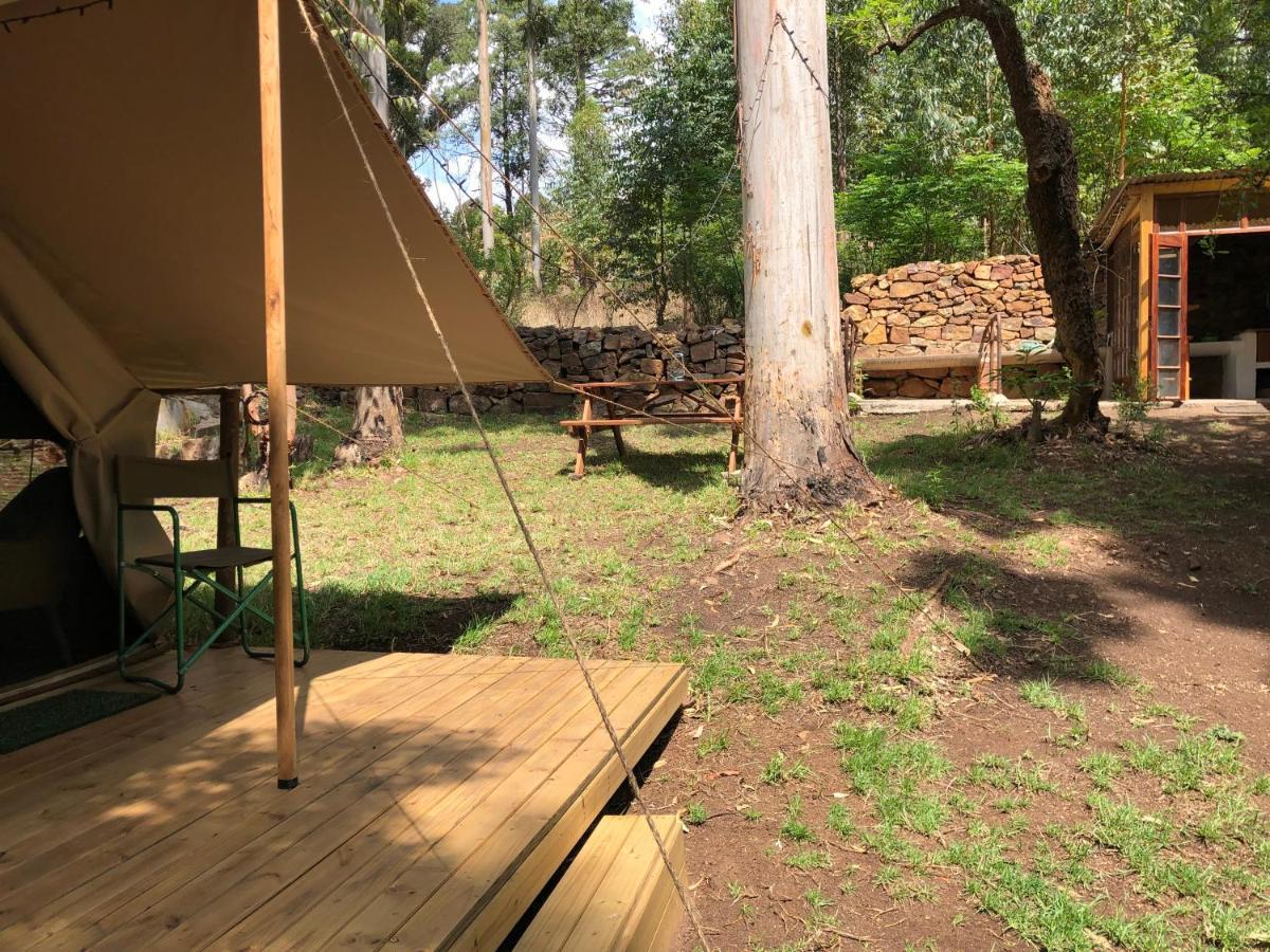 Vila Tegwaan Country Getaway Waterval Boven Exteriér fotografie